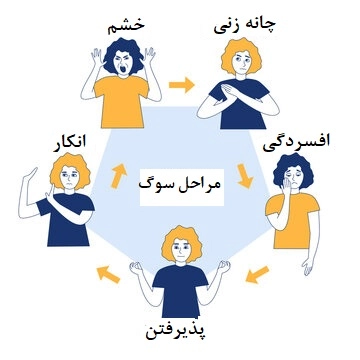 مراحل سوگ