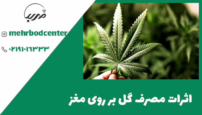 اثرات مصرف گل بر روی مغز